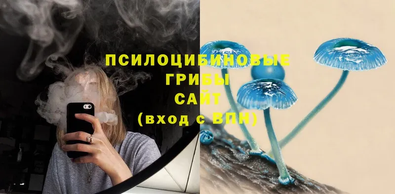 нарко площадка состав  Нытва  Псилоцибиновые грибы Psilocybe 